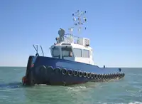 ଟୋବୋଟ୍ ବିକ୍ରୟ ପାଇଁ