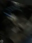 ଟ୍ରଲର ବିକ୍ରୟ ପାଇଁ