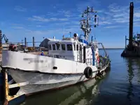ଟୋବୋଟ୍ ବିକ୍ରୟ ପାଇଁ
