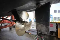 ଫେରୀ ଜାହାଜ ବିକ୍ରୟ ପାଇଁ
