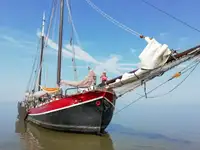 ବଲ୍କ କ୍ୟାରିୟର ବିକ୍ରୟ ପାଇଁ