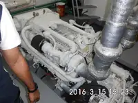 ଡାଇଭ୍ ସପୋର୍ଟ ବିକ୍ରୟ ପାଇଁ
