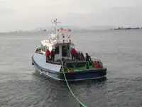 ଟୋବୋଟ୍ ବିକ୍ରୟ ପାଇଁ