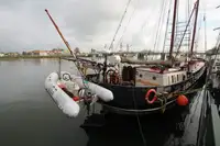 ଯାକ୍ଟ୍ ବିକ୍ରୟ ପାଇଁ