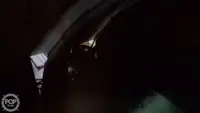 ଟ୍ରଲର ବିକ୍ରୟ ପାଇଁ
