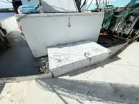 ଟ୍ରଲର ବିକ୍ରୟ ପାଇଁ
