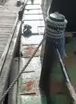 କାର୍ଯ୍ୟକାରୀ ନୌକା ବିକ୍ରୟ ପାଇଁ