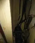 ପାଇଲଟ୍ ବୋଟ୍ ବିକ୍ରୟ ପାଇଁ