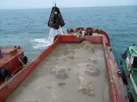 ବାର୍ଜ୍ ବିକ୍ରୟ ପାଇଁ