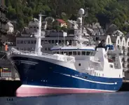 Purse seiner ବିକ୍ରୟ ପାଇଁ