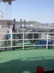 ଡ୍ରେଜର ବିକ୍ରୟ ପାଇଁ