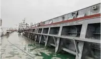 ବଲ୍କ କ୍ୟାରିୟର ବିକ୍ରୟ ପାଇଁ