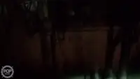 ଟ୍ରଲର ବିକ୍ରୟ ପାଇଁ