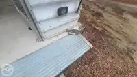 କ୍ରୁଜ୍ ଜାହାଜ ବିକ୍ରୟ ପାଇଁ