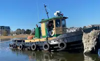 ଟାବବୋଟ୍ | ବିକ୍ରୟ ପାଇଁ