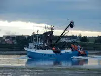 ପର୍ସ ସେନେର ବିକ୍ରୟ ପାଇଁ