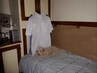 ପାଟ୍ରୋଲ୍ ନୌକା ବିକ୍ରୟ ପାଇଁ