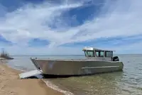 ଅବତରଣ ଶିଳ୍ପ, ଟ୍ୟାଙ୍କ | ବିକ୍ରୟ ପାଇଁ