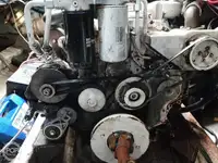 ଲଙ୍ଗଲାଇନର ବିକ୍ରୟ ପାଇଁ