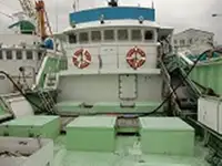 ଲଙ୍ଗଲାଇନର ବିକ୍ରୟ ପାଇଁ