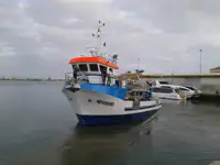 ଟୋବୋଟ୍ ବିକ୍ରୟ ପାଇଁ
