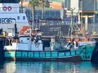 Purse seiner ବିକ୍ରୟ ପାଇଁ