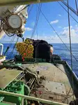Purse seiner ବିକ୍ରୟ ପାଇଁ