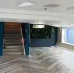 କ୍ରୁଜ୍‌ଫେରୀ ବିକ୍ରୟ ପାଇଁ