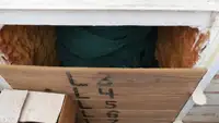 ଟ୍ରଲର ବିକ୍ରୟ ପାଇଁ