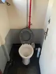 ଟୋବୋଟ୍ ବିକ୍ରୟ ପାଇଁ
