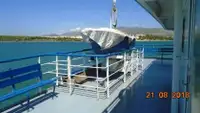 Ro-Ro ship ବିକ୍ରୟ ପାଇଁ