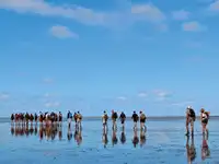 ବାର୍ଜ୍ ବିକ୍ରୟ ପାଇଁ