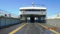 Ro-Ro ship ବିକ୍ରୟ ପାଇଁ