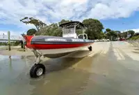 ଆମ୍ଫିବିୟସ୍ ବିକ୍ରୟ ପାଇଁ