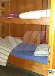 ସର୍ଭେ ପାତ୍ର | ବିକ୍ରୟ ପାଇଁ