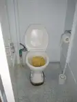 ଲଙ୍ଗଲାଇନର ବିକ୍ରୟ ପାଇଁ