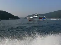 ଫେରୀ ଜାହାଜ ବିକ୍ରୟ ପାଇଁ