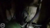 ଟ୍ରଲର ବିକ୍ରୟ ପାଇଁ