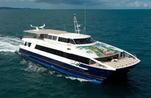 Catamaran for sale
