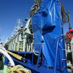 Purse seiner ବିକ୍ରୟ ପାଇଁ