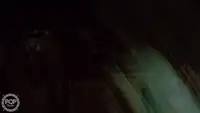 ଟ୍ରଲର ବିକ୍ରୟ ପାଇଁ