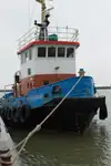 ଟୋବୋଟ୍ ବିକ୍ରୟ ପାଇଁ