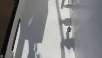 ଟ୍ରଲର ବିକ୍ରୟ ପାଇଁ