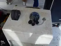 ଟ୍ରଲର ବିକ୍ରୟ ପାଇଁ