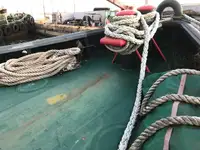 ଟୋବୋଟ୍ ବିକ୍ରୟ ପାଇଁ