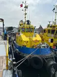ଟୋବୋଟ୍ ବିକ୍ରୟ ପାଇଁ