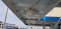 କାଟାମାରାନ୍ ବିକ୍ରୟ ପାଇଁ