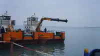 ଟୋବୋଟ୍ ବିକ୍ରୟ ପାଇଁ
