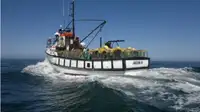 Trawler ବିକ୍ରୟ ପାଇଁ