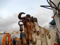 କାର୍ଯ୍ୟକାରୀ ନୌକା ବିକ୍ରୟ ପାଇଁ